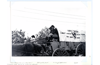 Cirincione-wagontrain (017-052-124-146)